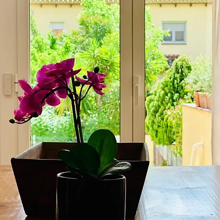 Holiday home Placa Costabravasi Santa Cristina d'Aro